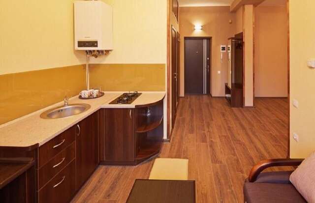 Апартаменты Apartment on Lychakivska 6-A Львов-4